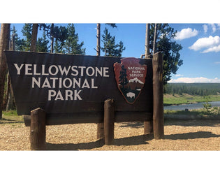  Our Itinerary for Yellowstone National Park’s Grand Loop