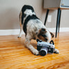 P.L.A.Y. Pet LifeStyle and You Globetrotter Lens Licker Camera Squeaky Dog Toy. PLAY