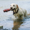 P.L.A.Y. Pet LifeStyle and You Large Vanilla Scout & About Toss and Float Toy. PLAY
