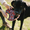 P.L.A.Y. Pet LifeStyle and You Scout & About Reflective Flying Disc Toy. PLAY