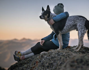  Safety Guide for Hiking with Your Dog