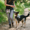 P.L.A.Y. Pet LifeStyle and You Vanilla Scout & About Deluxe Training Pouch. PLAY